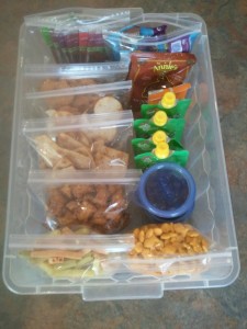 Pantry Snack BIn