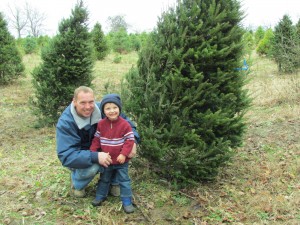 Tree Farm