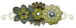jenniekimseparator1