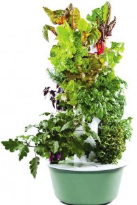 Tower Garden