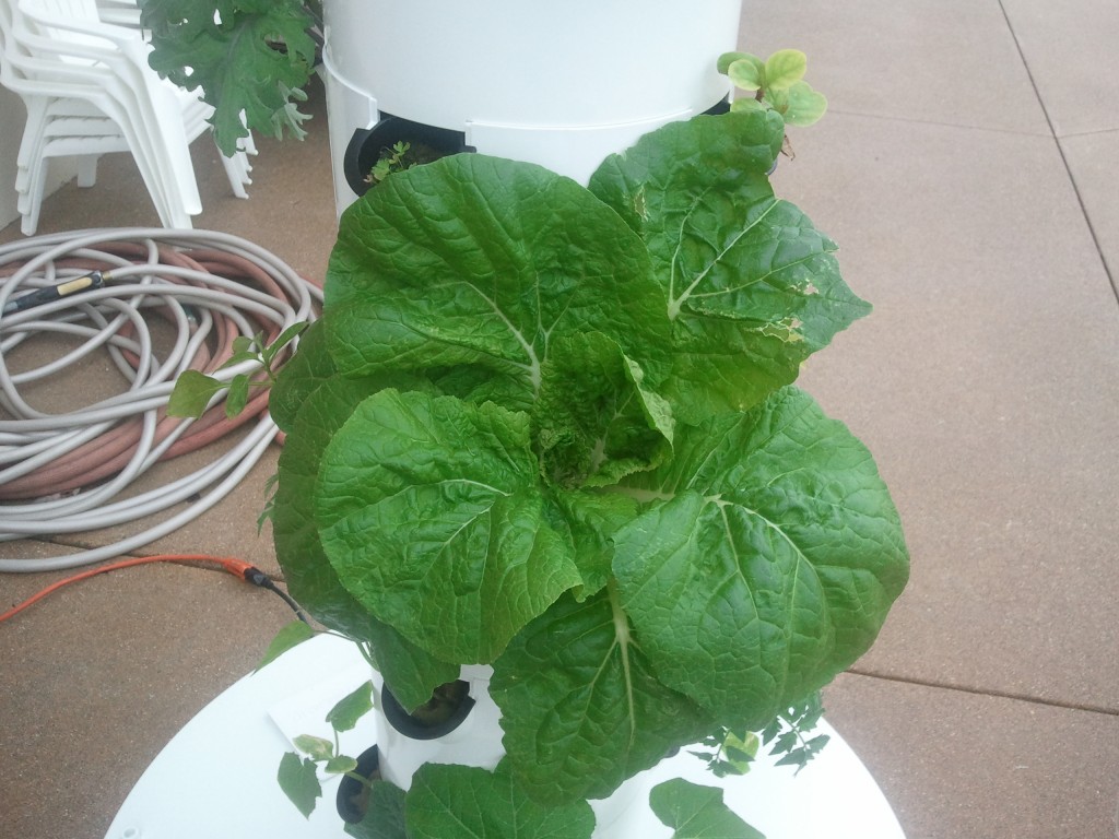 tower garden