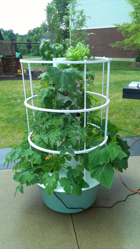 Tower Garden