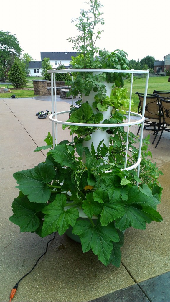 Tower Garden