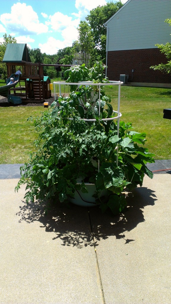 tower garden