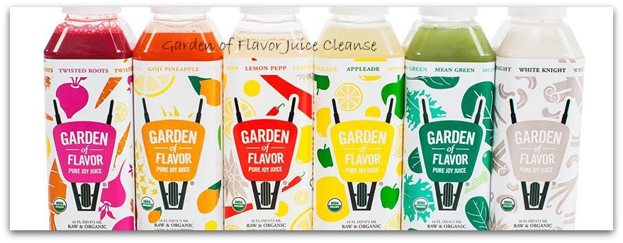 garden of flavor juice cleanse