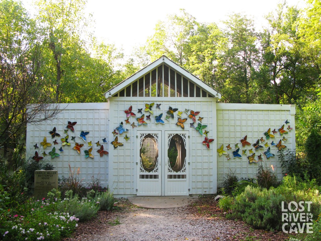 Butterfly House