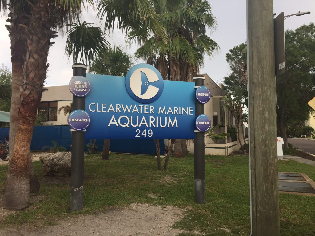 Clearwater Aquarium 