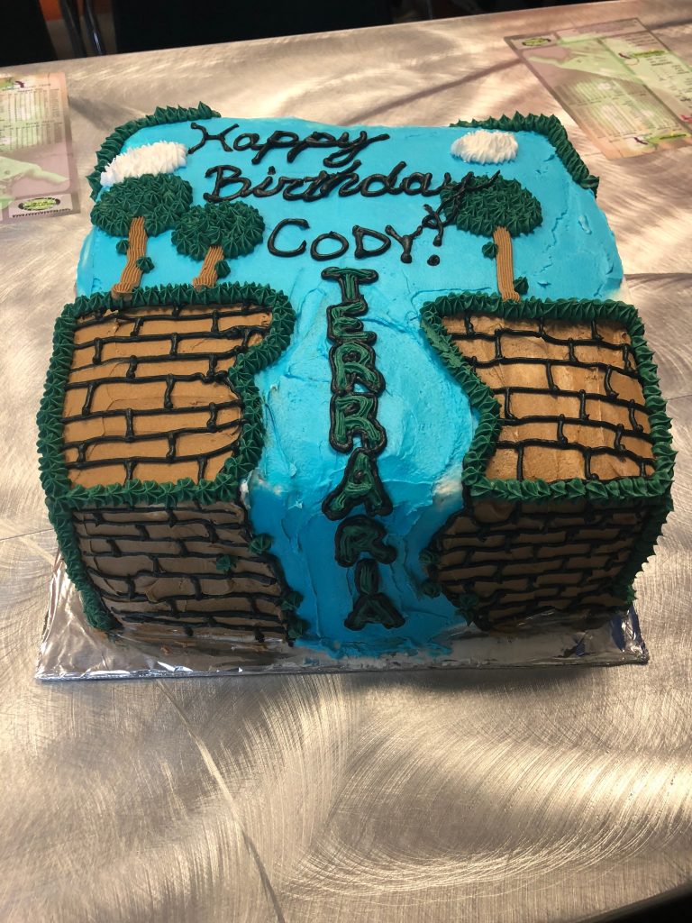 Terraria Birthday Cake 