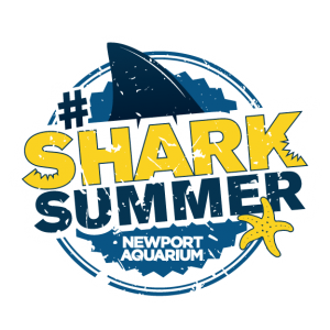 Shark Summer Newport Aquarium