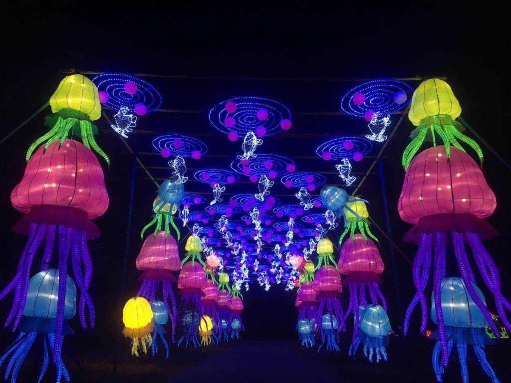 Dragon Lights Chinese Lantern Festival