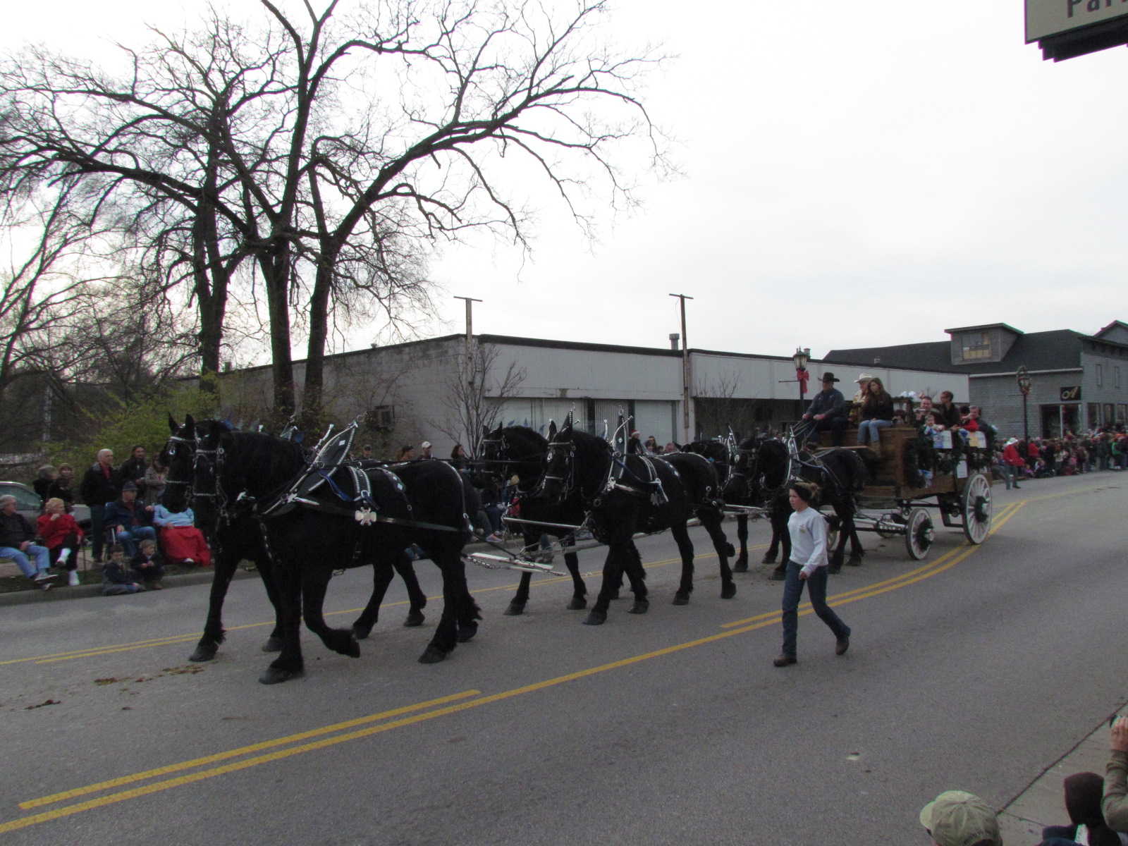 Horse Parade