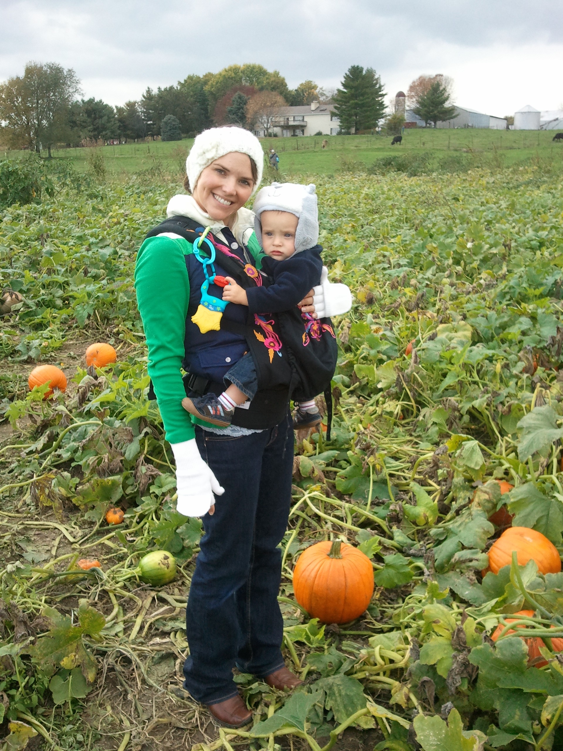 Schappacher Farm Pumpkin Patch