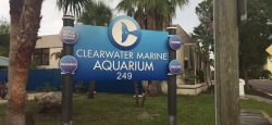 Clearwater Aquarium