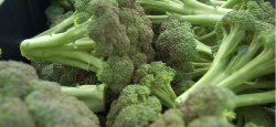 Broccoli cutting calories