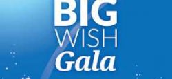 BIG Wish Gala